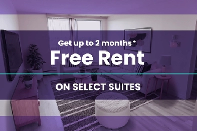 Mount Royal   Apartment For Rent | Pleasant Hill Image# 6