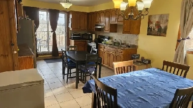 TRÈS TRÈS GRAND 6 1/2AVEC COUR ET GARAGE  à louer à Laval Image# 2