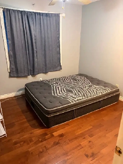 2 Rooms available Image# 2