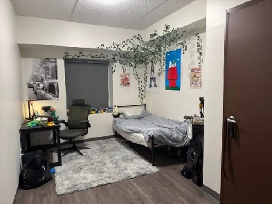 4 or 8 Months, Largest Room in Apt with Ensuite Bathroom Image# 2