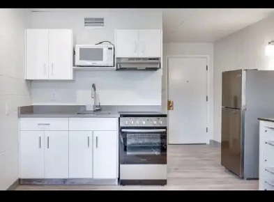 FULLY RENOVATED BATCHELOR SUITE - ROCKY MOUNTAIN HOUSE Image# 3