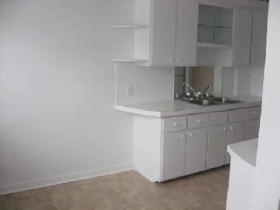 Anjou - 4 1/2 Image# 9