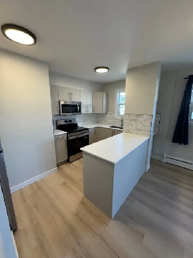 Pet Friendly Renovated 3 Bedroom in Riverview– Available Now! Image# 1