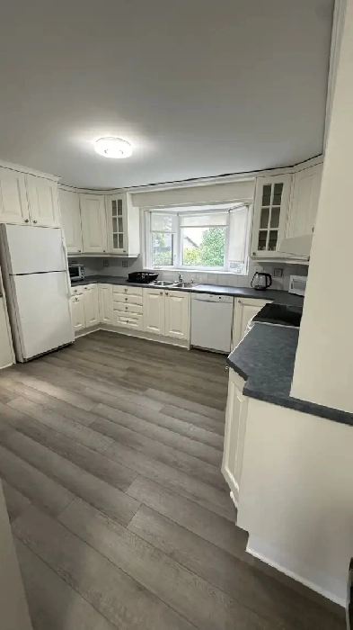 Algonquin Area! Rooms available if you see this ad! Image# 2