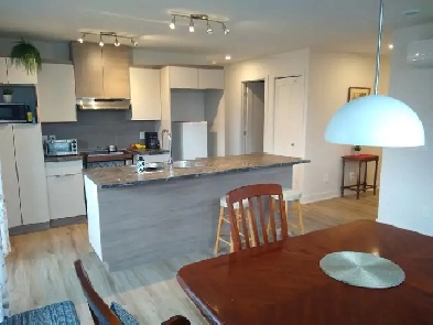 Condo locatif 3/12 L'ÉPIPHANIE Image# 2