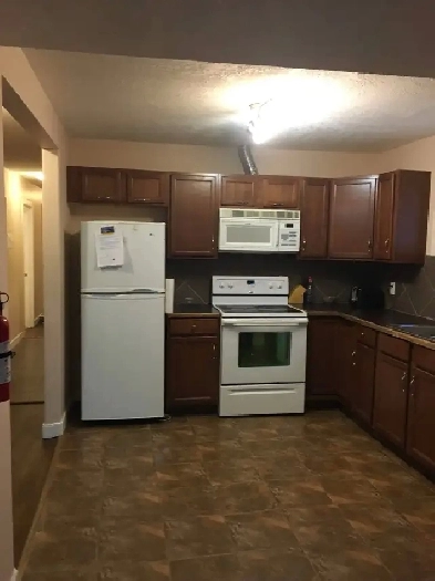 basement room close to SAIT for male