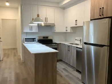 New basement suite for rent Image# 6