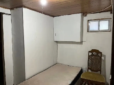 ROOM BASEMENT NEAR YORK UNIVERSITY NORTH YORK STEELES/BATHURST Image# 3