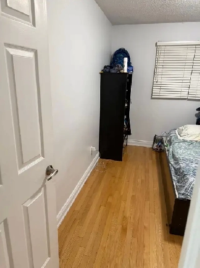 House for Rent in Brampton (Family Only) Image# 2