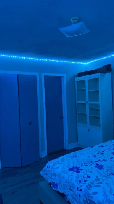 Master Bedroom on Main floor for rent in Malton from Jan 01