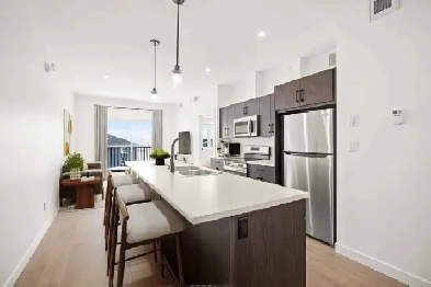 LUXURY 1 Bedroom Apartment! Includes 2 Fitness Centres! Image# 8