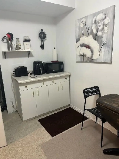 furnished bachelor basement Image# 7