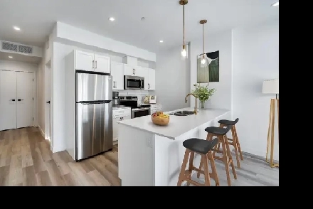 STUNNING 2 Bedroom Apartment! Move in Ready! Image# 5