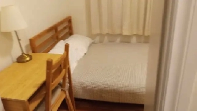 Furnished 1 bedroom apartment downtown available Immed or Jan 1 Image# 9