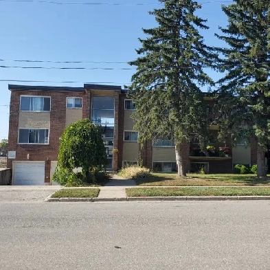 lovely large 2 bedroom for rent Image# 4