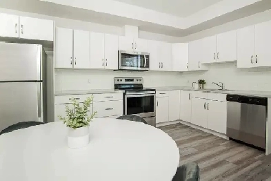 Stunning 2 Bedroom Apartment! Available January 1st! Image# 9