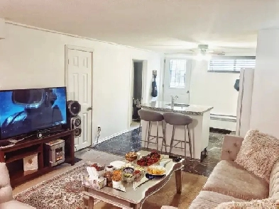 Thornhill: 1 1 Bedrooms walkout basement apt Image# 9