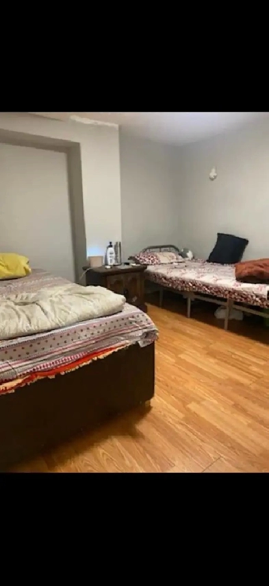 Room for rent in Brampton Image# 2