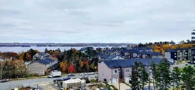 Gorgeous 1 Bedroom, plus Incentives Image# 3