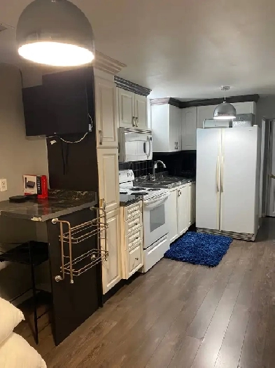 1 Bedroom Basement Unit For 1 Person Image# 2