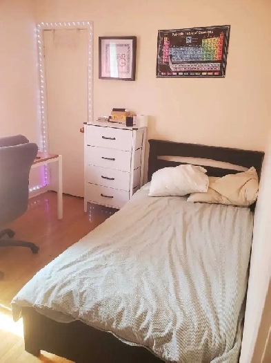 Room for Rent near Southgate Area Image# 3