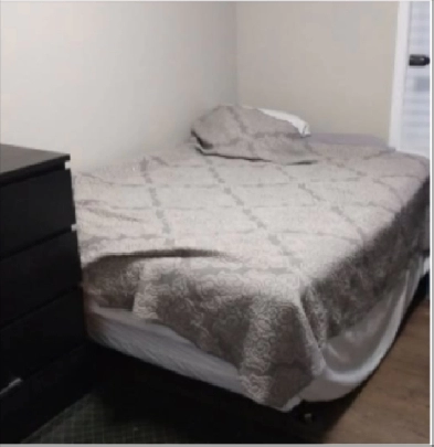 Immediate til April 30-Bank/Hunt Club Furn-15m/Carleton,SeeVIDEO Image# 5