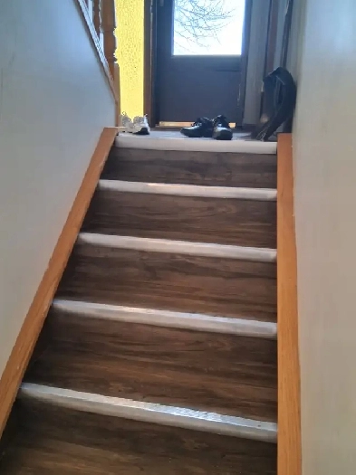 3 Bedroom big Basement for Rent in Rundle NE Calgary Image# 2