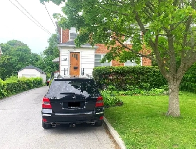 1 Bedroom Apartment for Rent Image# 5