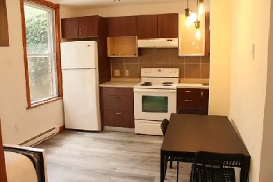 Joli 3 ½ au cœur du plateau a Louer Image# 21