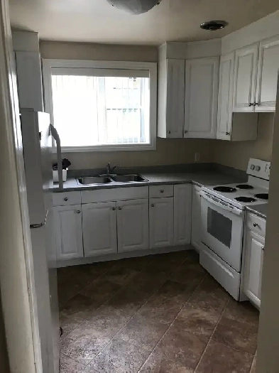 1 BR apartment on Corydon close to Stafford Image# 2
