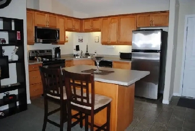 2 bedroom 2 bath Condo suite for Rent Image# 4