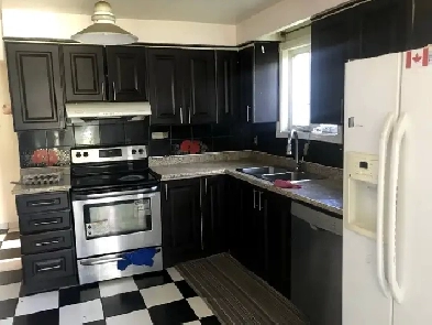 4 bedroom house for rent malton Image# 4