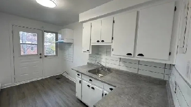 Ahuntsic grand 3 ½ rénové $1100/mois Image# 4