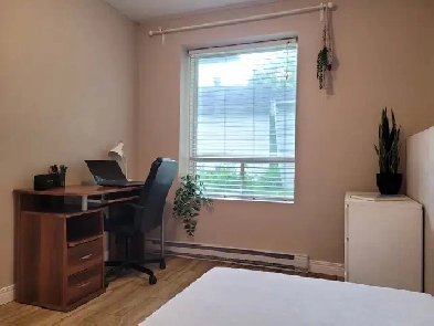 Chambre à louer près du CEGEP Image# 8