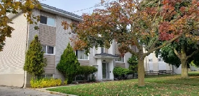 One-bedroom apartment Image# 1