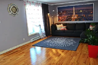 4 1/2 Tres Spacieux avec Garage a Lasalle a louer Image# 9