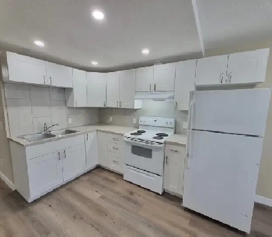 COMPLETELY NEW! RENOD WALKOUT 2BR Bsmt-NEW kitchen/Bath- PetOk Image# 2