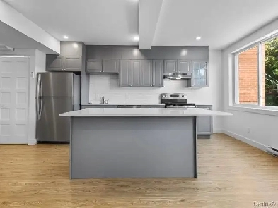 Grand 4 ½, dernier étage sur le Plateau Image# 4