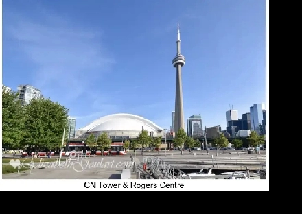 New furnished 2BD 2BA condo for rent downtown Toronto / Jan. 2nd Image# 3