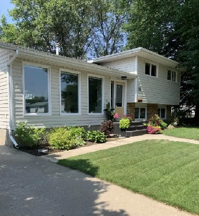 Furnished room for rent Image# 6