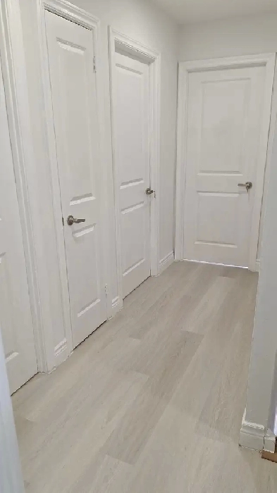 Rent 2 Apartments of 3 Bedrooms, 1 Basement 2 Bedroms. Image# 4