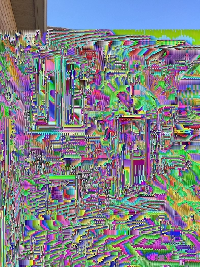 And a Great Landlord. Image# 4