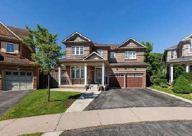 Large & Bright 2 BR, Full WR, Hall, Dining, Kitchen Basement Image# 3