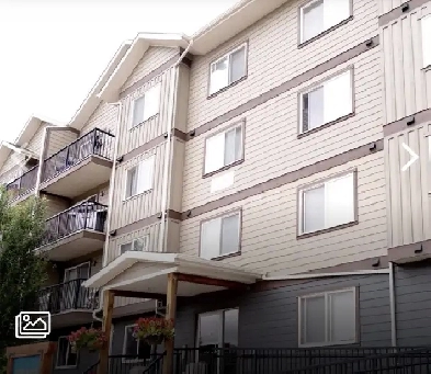 Looking for a roommate Image# 8