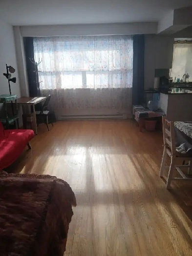 Sublease - TMR - 3½ newly renovated Apartment Image# 3