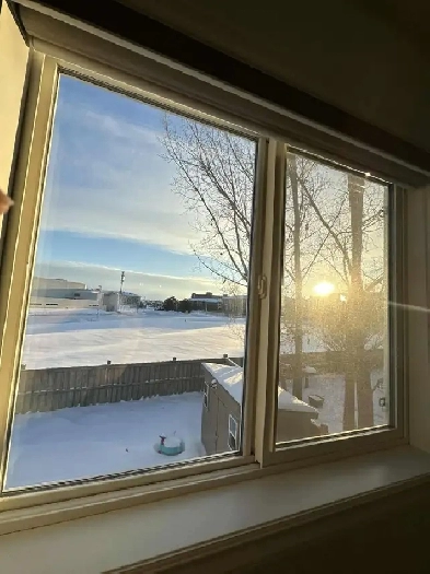 Room for rent south side Edmonton Alberta (MACEWAN area) Image# 2