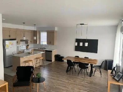 Beau et moderne 5 1/2 à Cowansville Image# 10