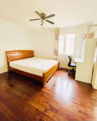 Private washroom & bedroom , Richmond Hill , Female only , $899 Image# 7