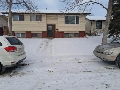 3 Bedroom big Basement for Rent in Rundle NE Calgary Image# 7