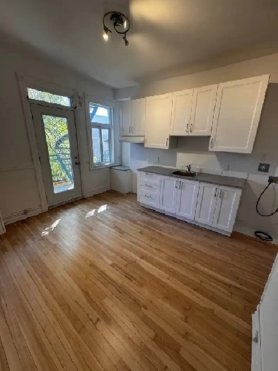 Magnifique 4. 1/2 au cœur du plateau - rue Laurier et St-Hubert Image# 2